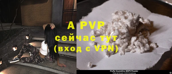 крисы Алексин
