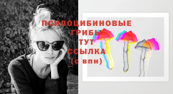 молекула духа Белая Холуница