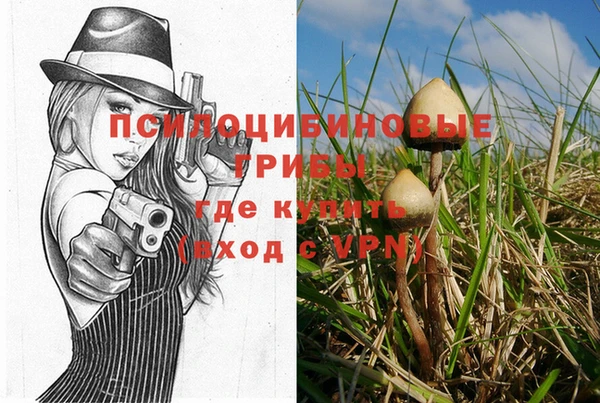 экстази Алексеевка