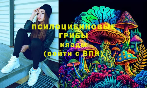 каннабис Алзамай