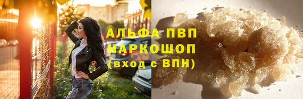 крисы Алексин